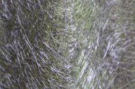 Sandal Magna fibreglass roof work